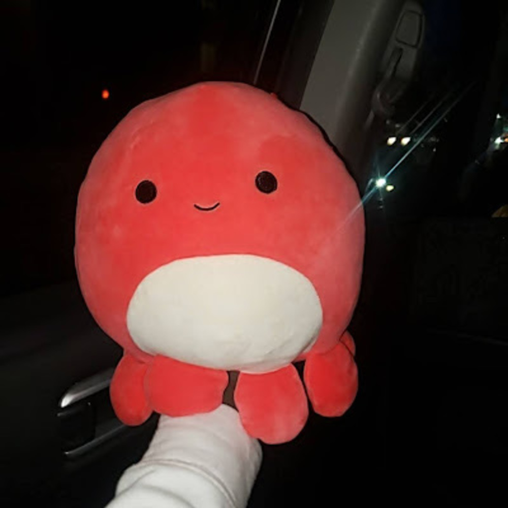 Meet your Posher, Asia